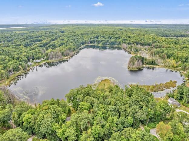 4323 E Vail Ln, Gaylord, MI 49735 - photo 47