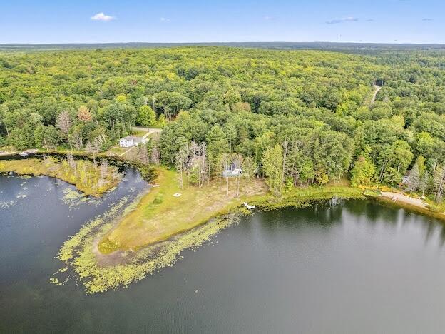 4323 E Vail Ln, Gaylord, MI 49735 - photo 49