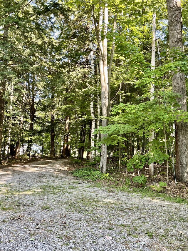 4323 E Vail Ln, Gaylord, MI 49735 - photo 52