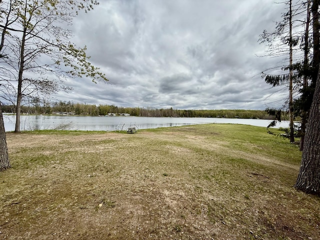 4323 E Vail Ln, Gaylord, MI 49735 - photo 66