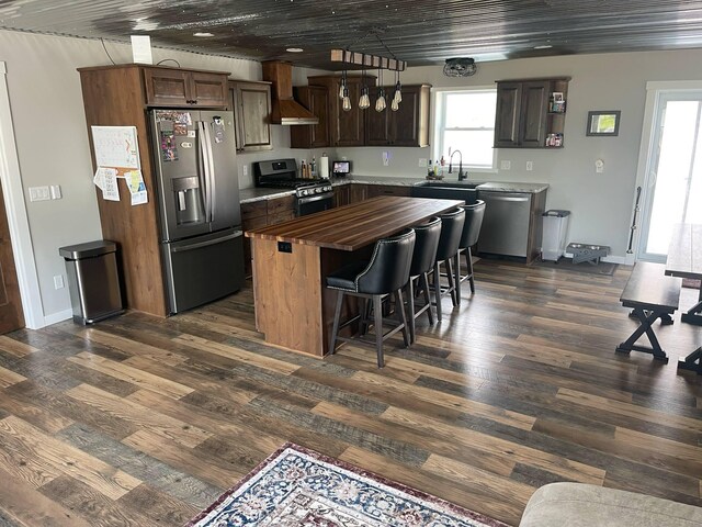 7557 Loop Rd, Posen, MI 49776 - kitchen featuring appliances with stainless steel finishes, wall chimney exhaust hood, dark wood-style floors, and a sink