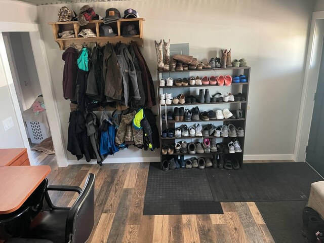 7557 Loop Rd, Posen, MI 49776 - walk in closet featuring wood finished floors