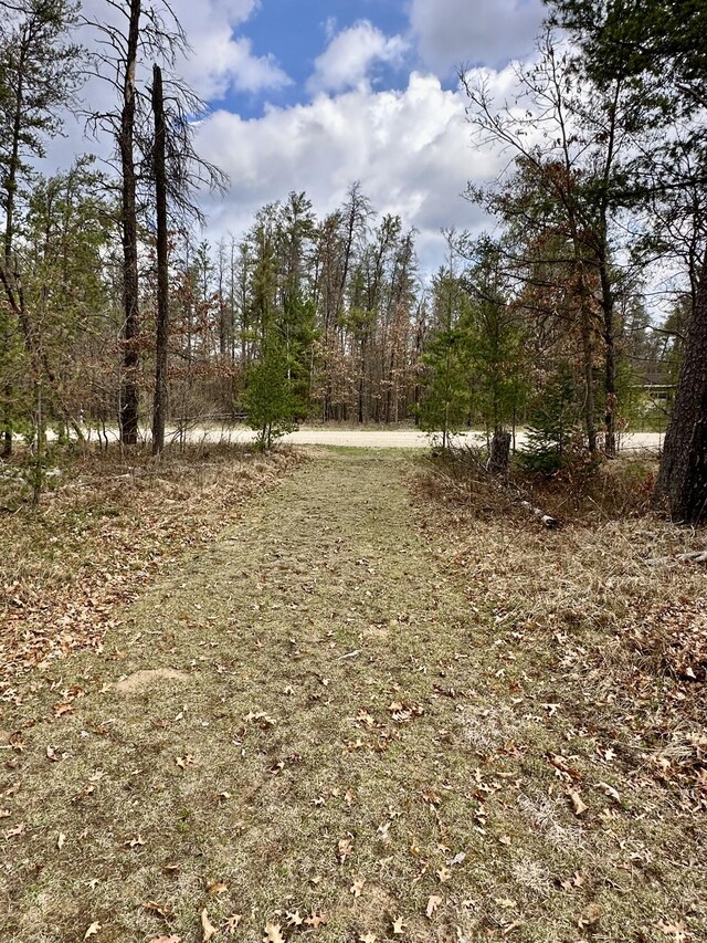 11030 S Stephan Bridge Rd, Roscommon, MI 48653 - view of yard