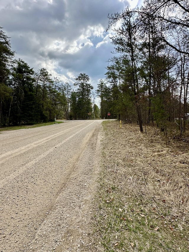 11030 S Stephan Bridge Rd, Roscommon, MI 48653 - view of road featuring traffic signs