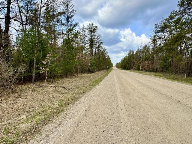 11030 S Stephan Bridge Rd, Roscommon, MI 48653 - view of dirt / gravel road with a forest view