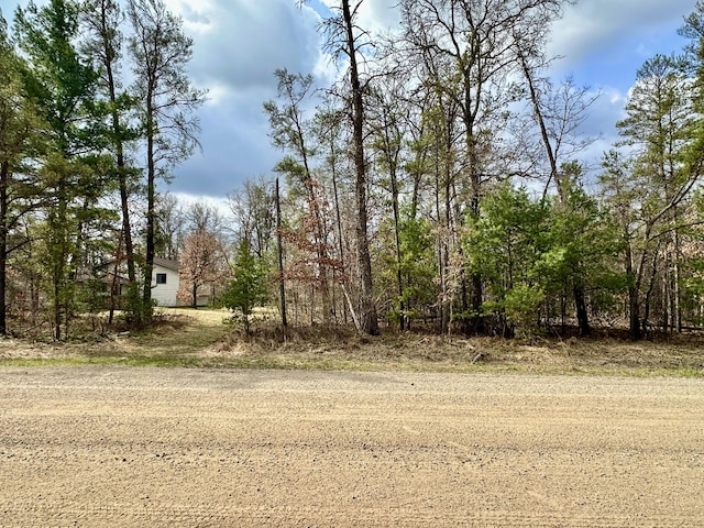 11030 S Stephan Bridge Rd, Roscommon, MI 48653 - view of yard