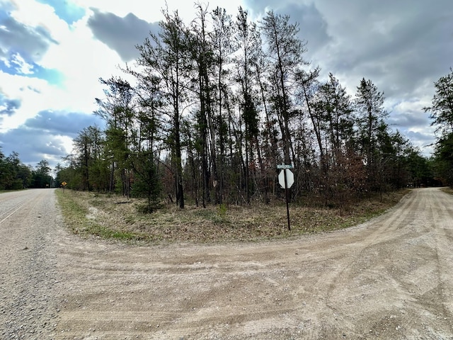 11030 S Stephan Bridge Rd, Roscommon, MI 48653 - view of dirt / gravel road with traffic signs and a forest view