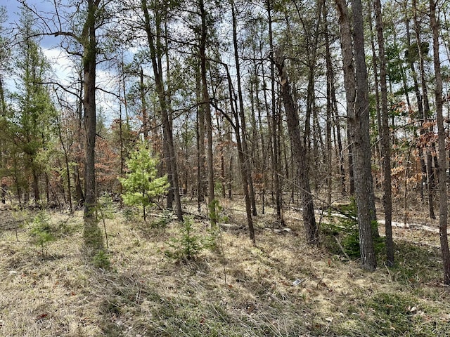 11030 S Stephan Bridge Rd, Roscommon, MI 48653 - view of undeveloped land