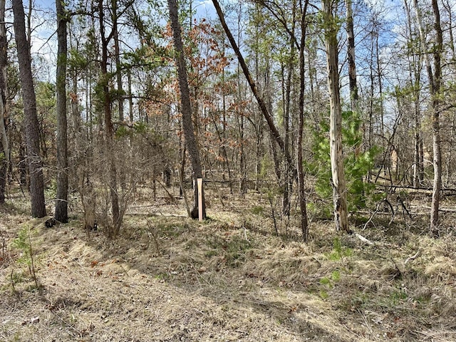 11030 S Stephan Bridge Rd, Roscommon, MI 48653 - view of nature