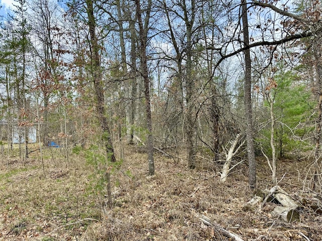 11030 S Stephan Bridge Rd, Roscommon, MI 48653 - view of nature