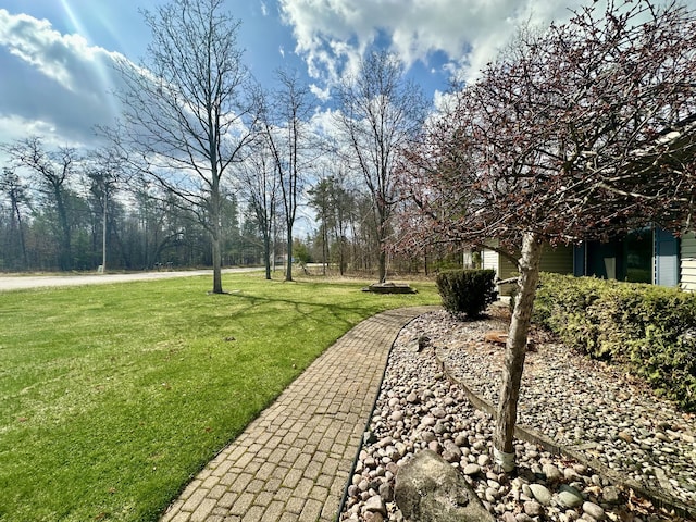 11030 S Stephan Bridge Rd, Roscommon, MI 48653 - view of green lawn