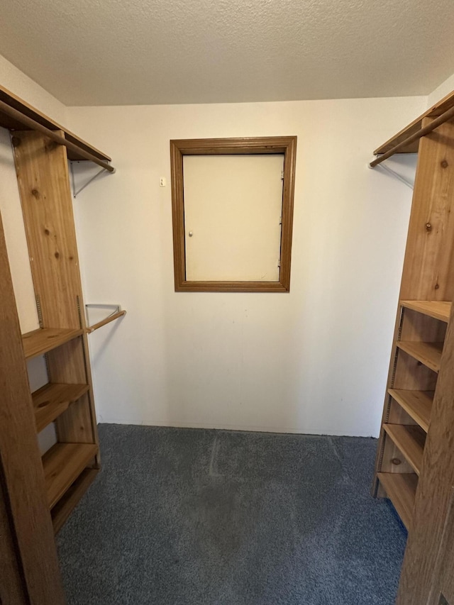 11030 S Stephan Bridge Rd, Roscommon, MI 48653 - spacious closet with carpet