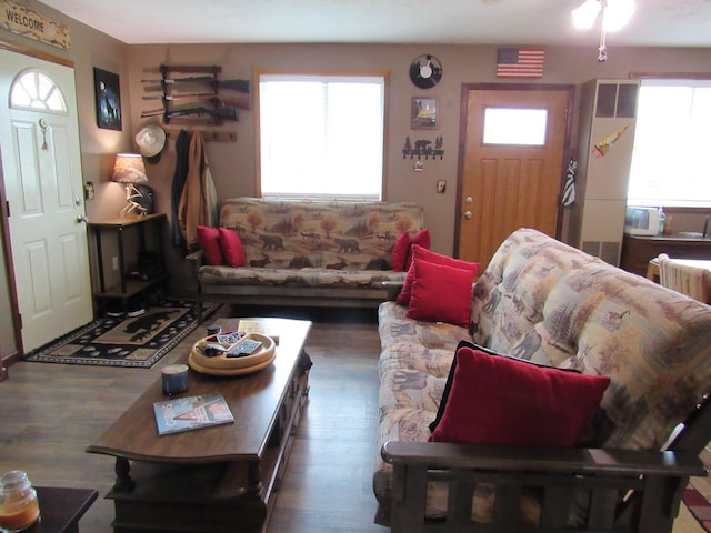2020 Douglas Dr, Saint Helen, MI 48656 - living room with plenty of natural light and wood finished floors