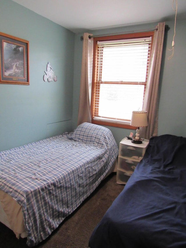 2020 Douglas Dr, Saint Helen, MI 48656 - view of carpeted bedroom