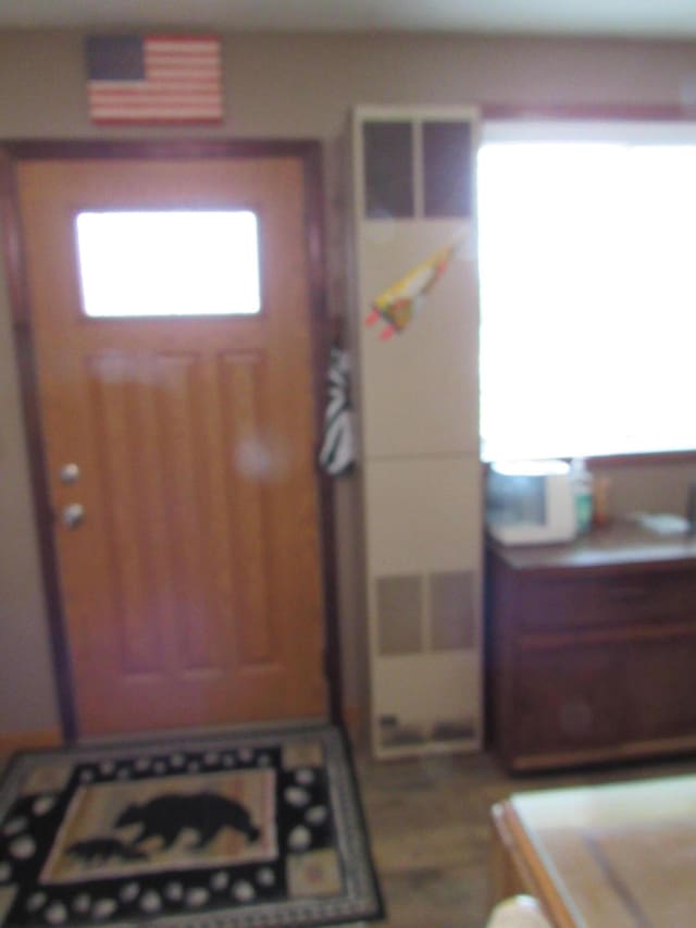 2020 Douglas Dr, Saint Helen, MI 48656 - view of entryway