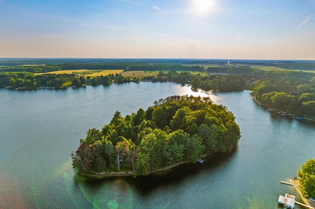 4423 Island View Dr, Gaylord, MI 49735 - aerial view of a nearby body of water