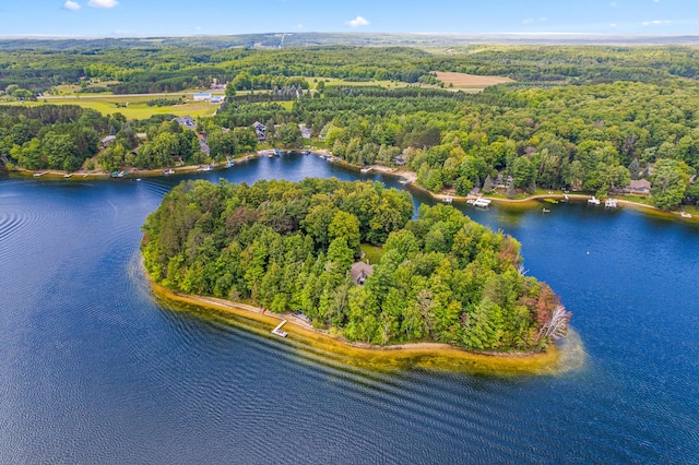 4423 Island View Dr, Gaylord, MI 49735 - aerial overview of property's location with a heavily wooded area and a nearby body of water