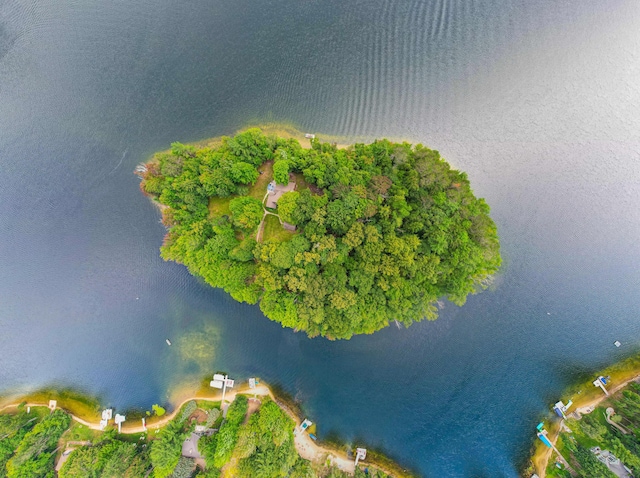 4423 Island View Dr, Gaylord, MI 49735 - aerial overview of property's location featuring a large body of water