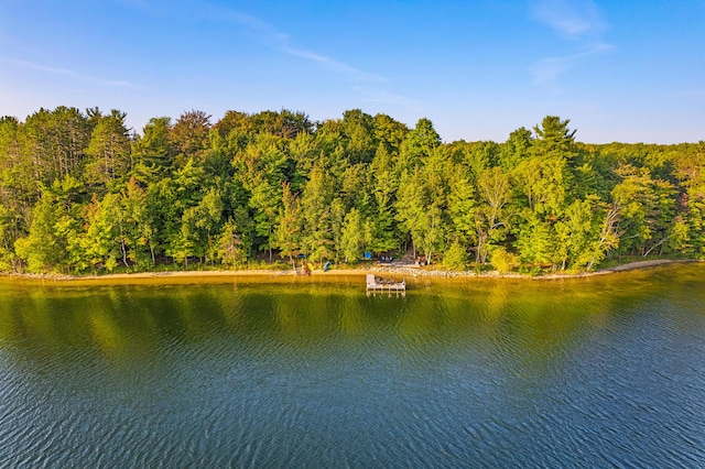 4423 Island View Dr, Gaylord, MI 49735 - water view with a forest