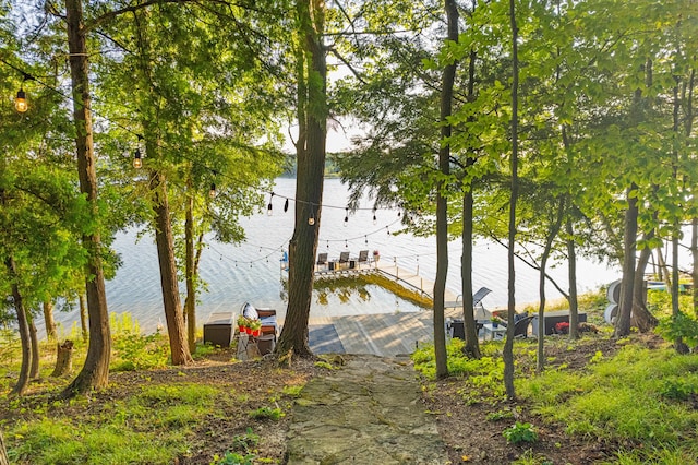 4423 Island View Dr, Gaylord, MI 49735 - water view with a dock
