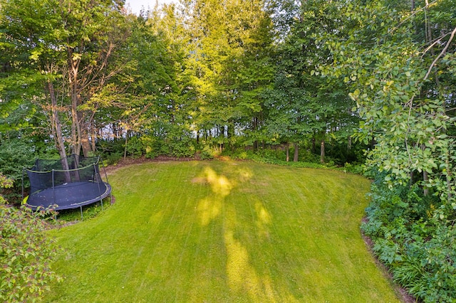 4423 Island View Dr, Gaylord, MI 49735 - view of grassy yard with a trampoline