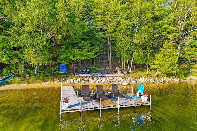 4423 Island View Dr, Gaylord, MI 49735 - dock area featuring a water view