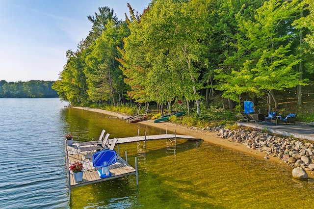 4423 Island View Dr, Gaylord, MI 49735 - dock area featuring a water view