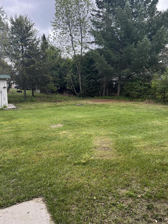 1828 Higgins, Saint Helen, MI 48656 - view of grassy yard