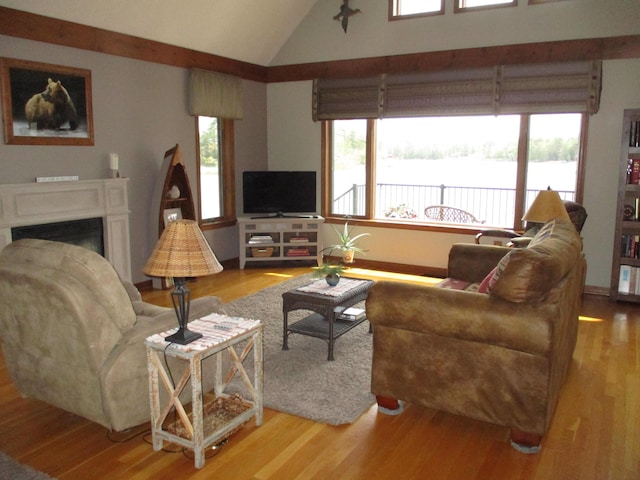5622 Vacationland Dr, Lewiston, MI 49756 - living area featuring lofted ceiling, wood finished floors, and a fireplace