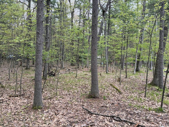 Sweet Fern Ln, Roscommon, MI 48653