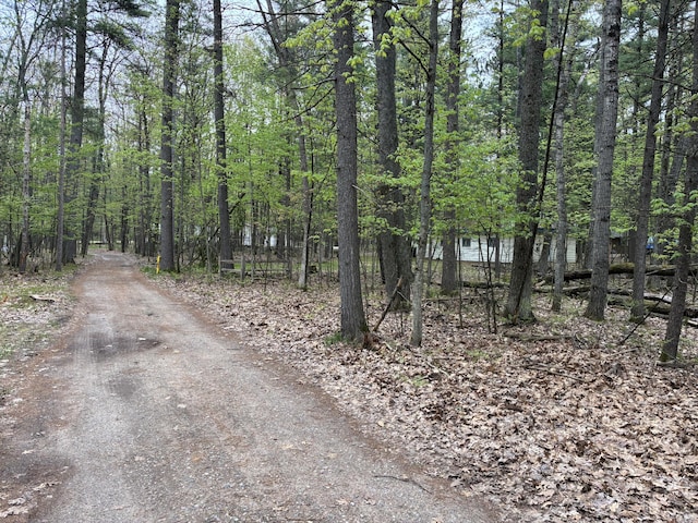 Sweet Fern Ln, Roscommon, MI 48653