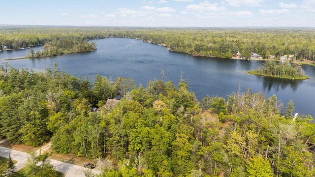 5506 Vacationland Dr, Lewiston, MI 49756 - photo 83