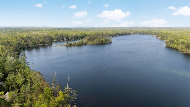 5506 Vacationland Dr, Lewiston, MI 49756 - photo 82