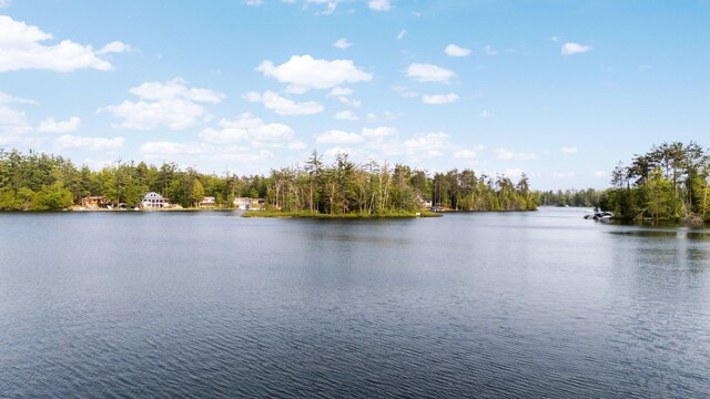 5506 Vacationland Dr, Lewiston, MI 49756 - photo 79