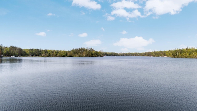 5506 Vacationland Dr, Lewiston, MI 49756 - photo 8