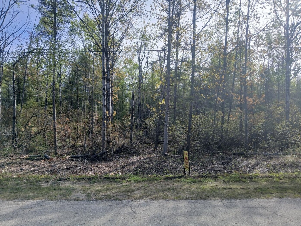 LOT257 Pineview Dr, Presque Isle, MI 49777 - photo 2