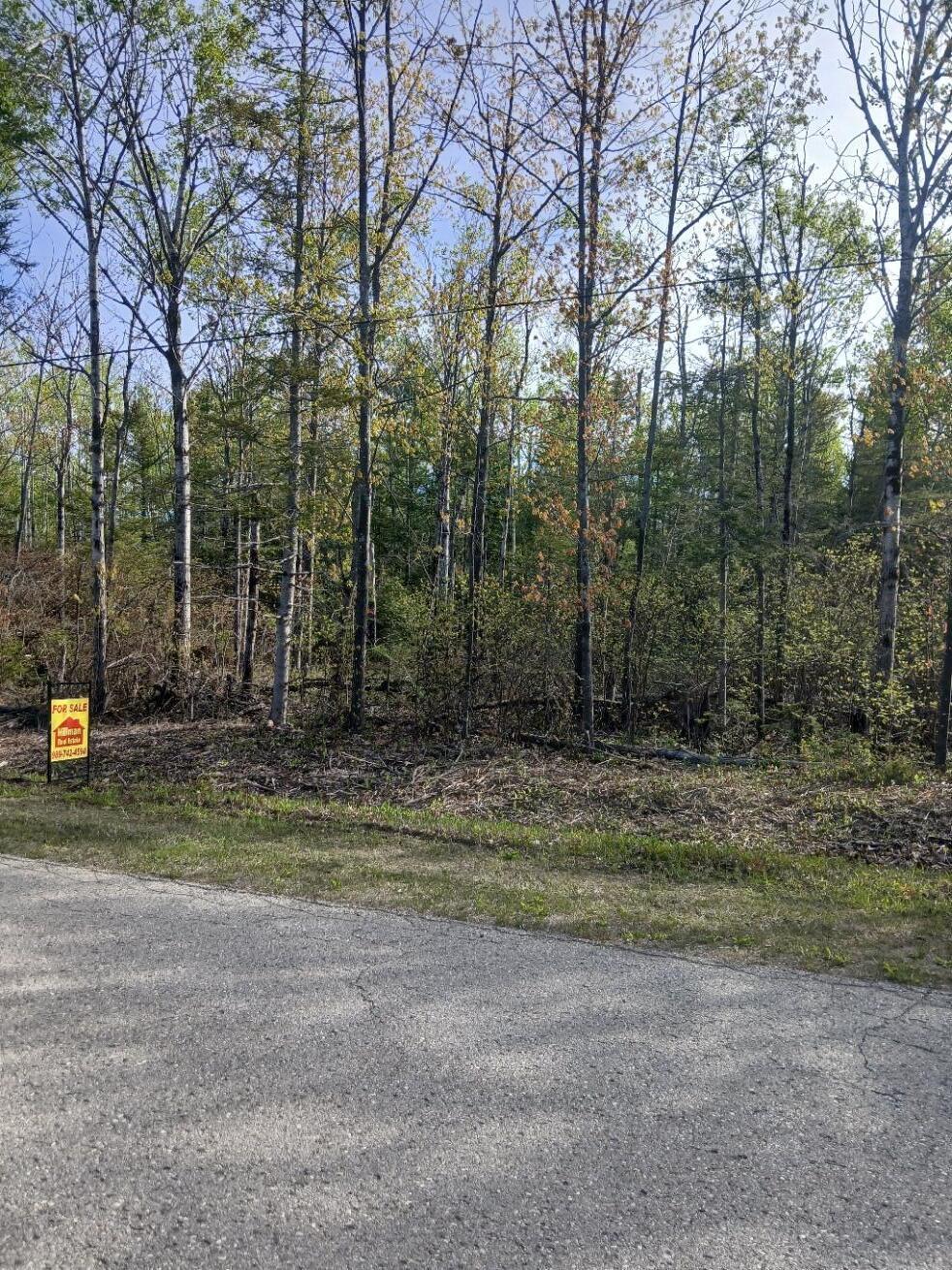 LOT257 Pineview Dr, Presque Isle, MI 49777 - photo 3