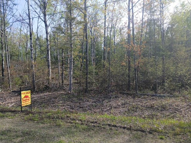 LOT257 Pineview Dr, Presque Isle, MI 49777 - photo 4