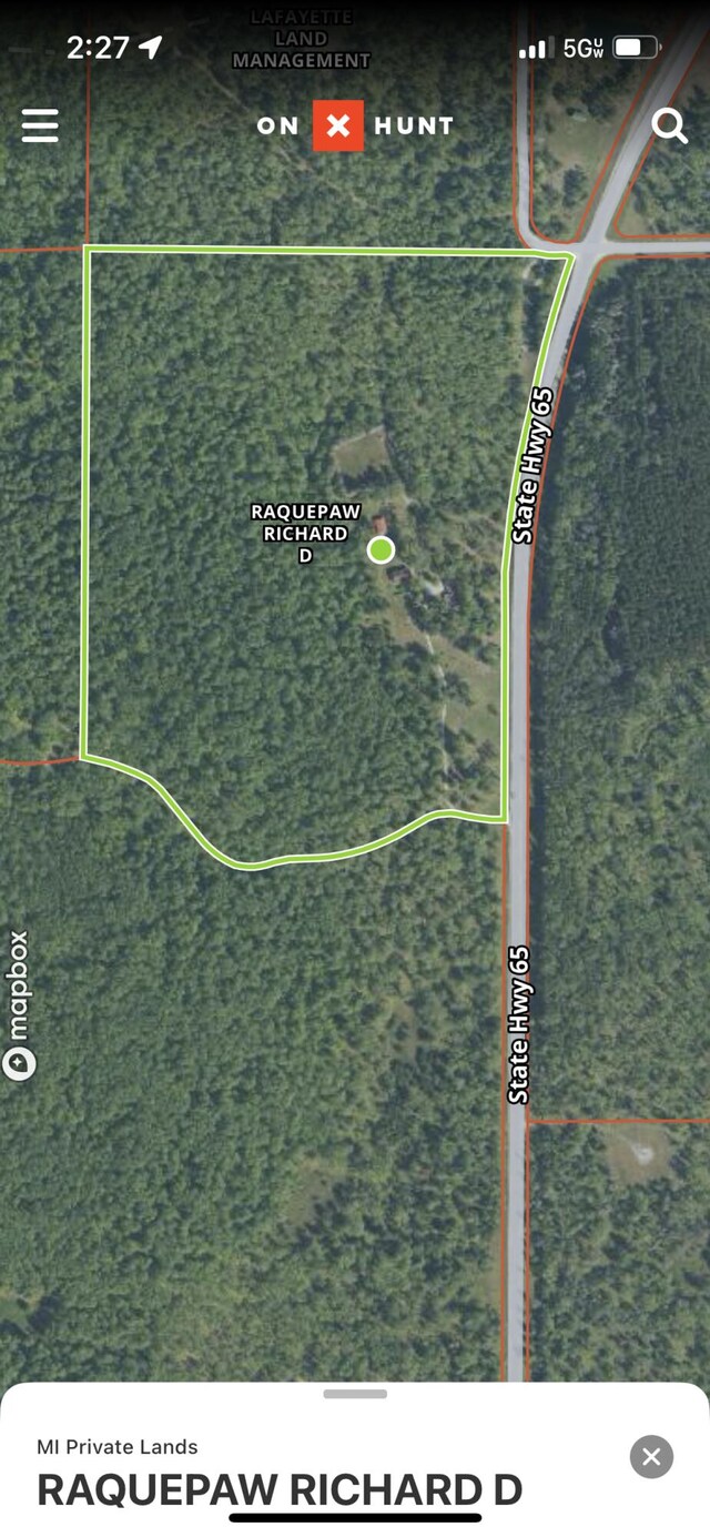 6251 M-65 N, Curran, MI 48728 - photo 19
