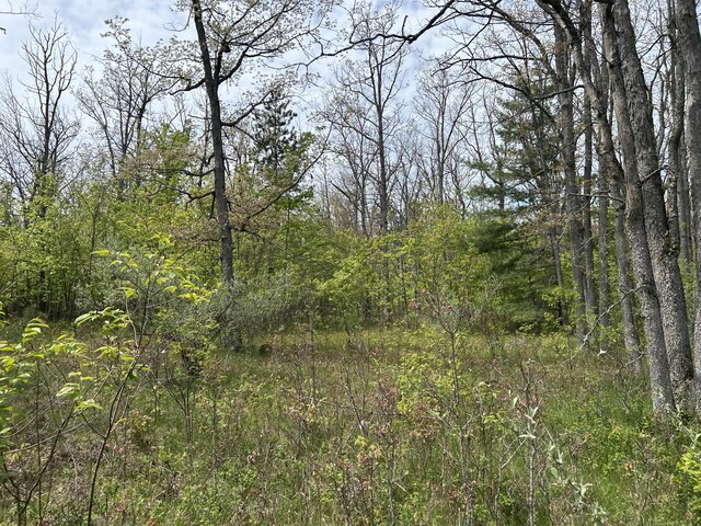 6251 M-65 N, Curran, MI 48728 - photo 24