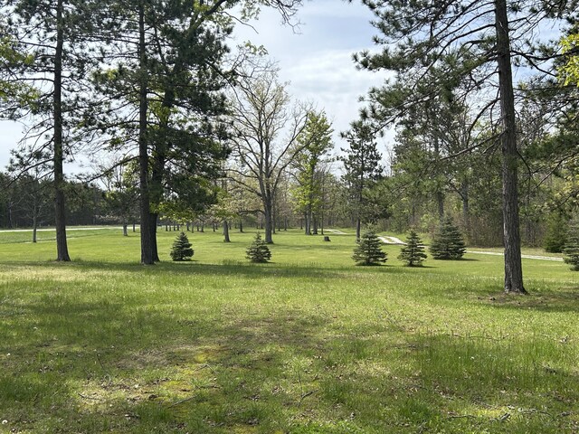 6251 M-65 N, Curran, MI 48728 - photo 26