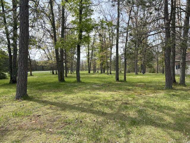 6251 M-65 N, Curran, MI 48728 - photo 27