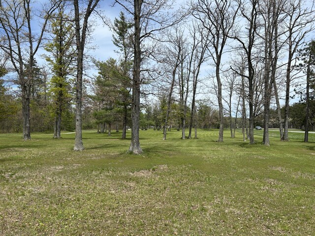 6251 M-65 N, Curran, MI 48728 - photo 29