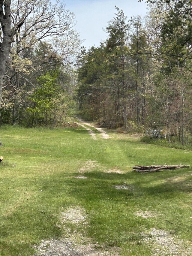6251 M-65 N, Curran, MI 48728 - photo 25