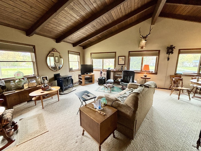5356 Spruce Dr, Lewiston, MI 49756 - living area with carpet flooring, a wood stove, healthy amount of natural light, wooden ceiling with exposed beams, and baseboards