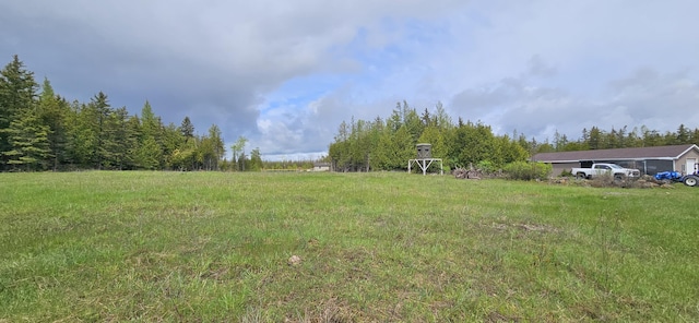 2460 Hamilton Rd, Alpena, MI 49707 - view of yard