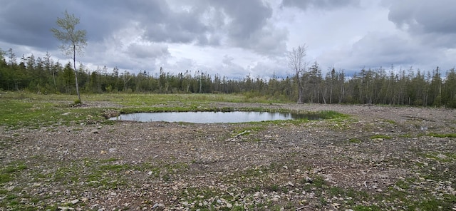 2460 Hamilton Rd, Alpena, MI 49707 - water view with a forest