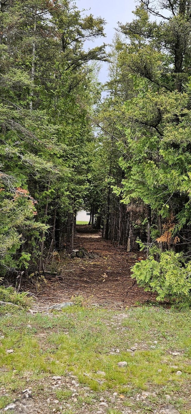 2460 Hamilton Rd, Alpena, MI 49707 - view of nature