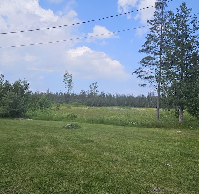 2460 Hamilton Rd, Alpena, MI 49707 - photo 6