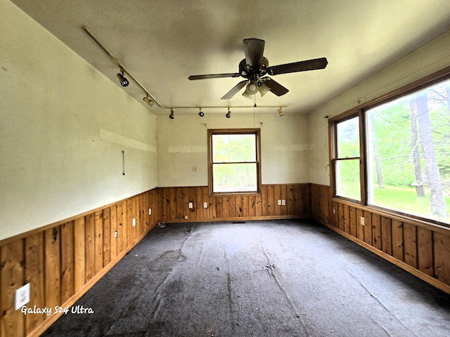 3547 Kay Rd, Lewiston, MI 49756 - spare room with wooden walls, a wainscoted wall, ceiling fan, rail lighting, and carpet floors